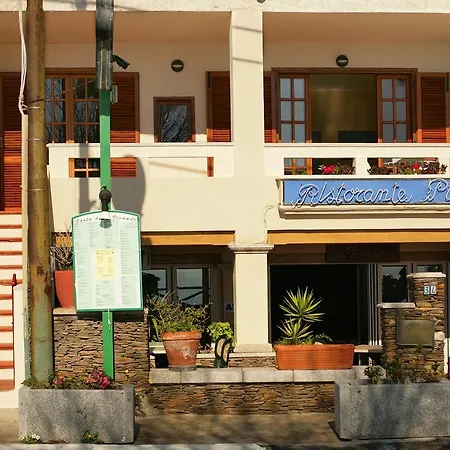 Palmasera
